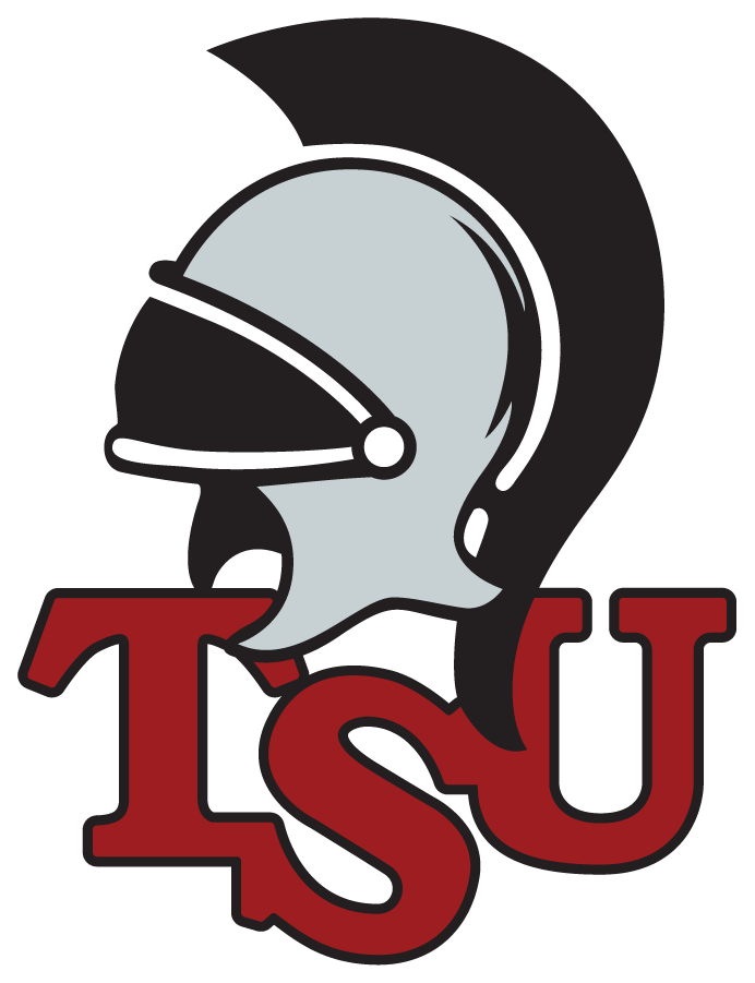 Troy Trojans 1999-2004 Alternate Logo DIY iron on transfer (heat transfer)